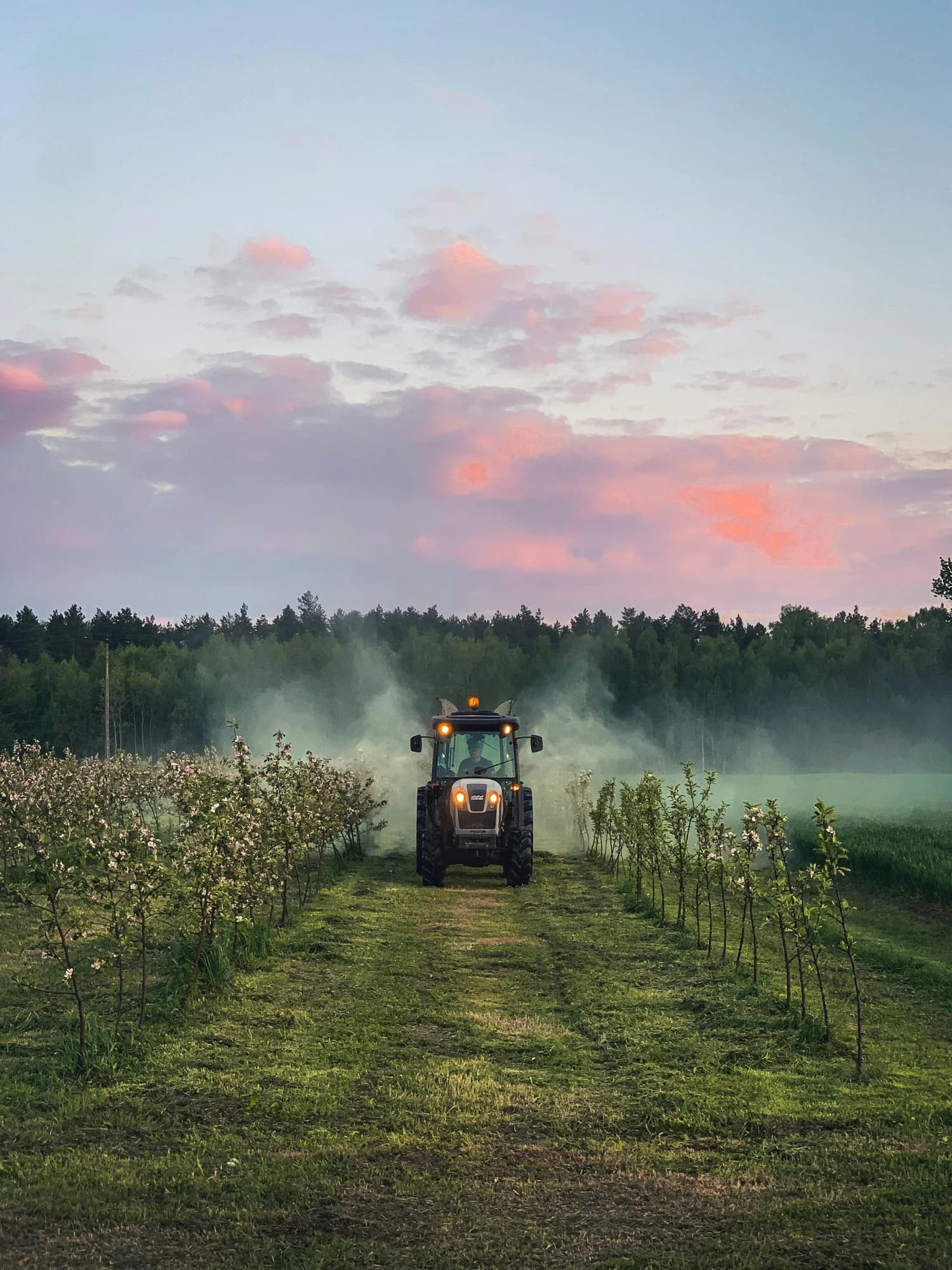 Determinarea reziduurilor de pesticide